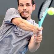 Alex Bolt; Getty Images