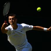 Bernard Tomic in action during his first-round qualifying victory over Matteo Donati at Roehampton; Getty Images