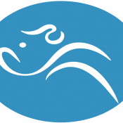 Womens Tennis Foundation Inc